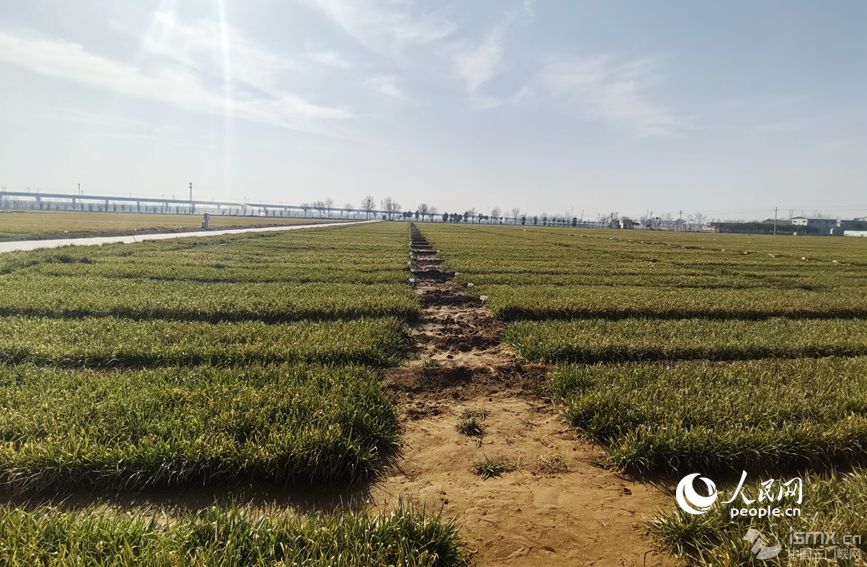 䓈F(tun)(du)ؓ(f)؟(z)λںʡl(xing)hć(gu)ҬF(xin)r(nng)I(y)ƼʾչʾءW(wng) ηΔz