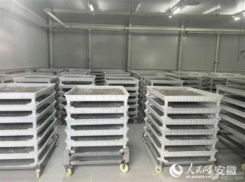 �����B(y��ng)ֳ���ϲ��M�Q����������W(w��ng)ӛ�� ���w�S�z