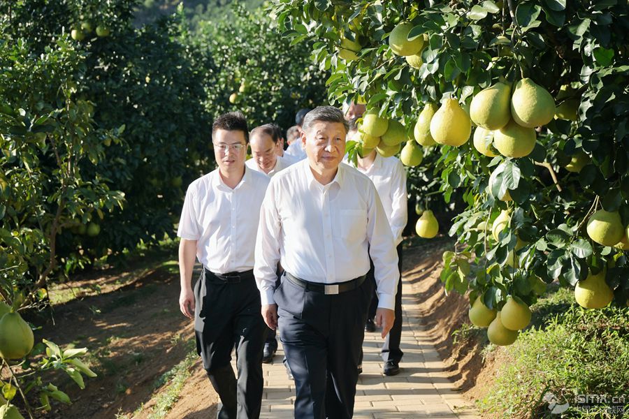 2025��11��7����8�գ��й����뿂��ӛ��������ϯ������܊ί��ϯ��(x��)��ƽ�ڏV�|�������@��7����������(x��)��ƽ��÷����÷�h�^(q��)�����(zh��n)�ϸ����ַNֲ���ؿ��������A��l(f��)��Ф� �z��